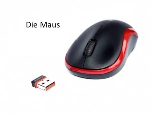 bild11